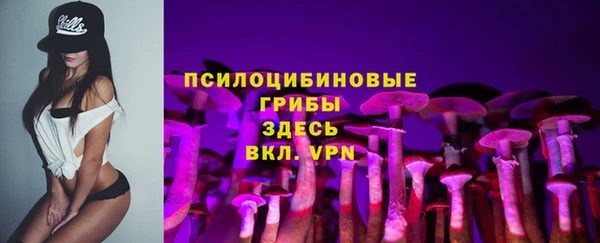 герыч Зерноград