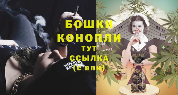 мдпв Заводоуковск